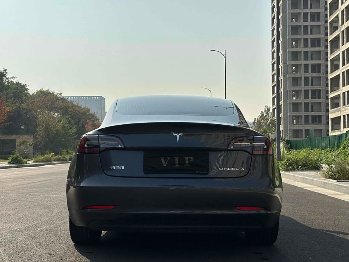 特斯拉 Model 3  2019款 標(biāo)準(zhǔn)續(xù)航后驅(qū)升級版圖片