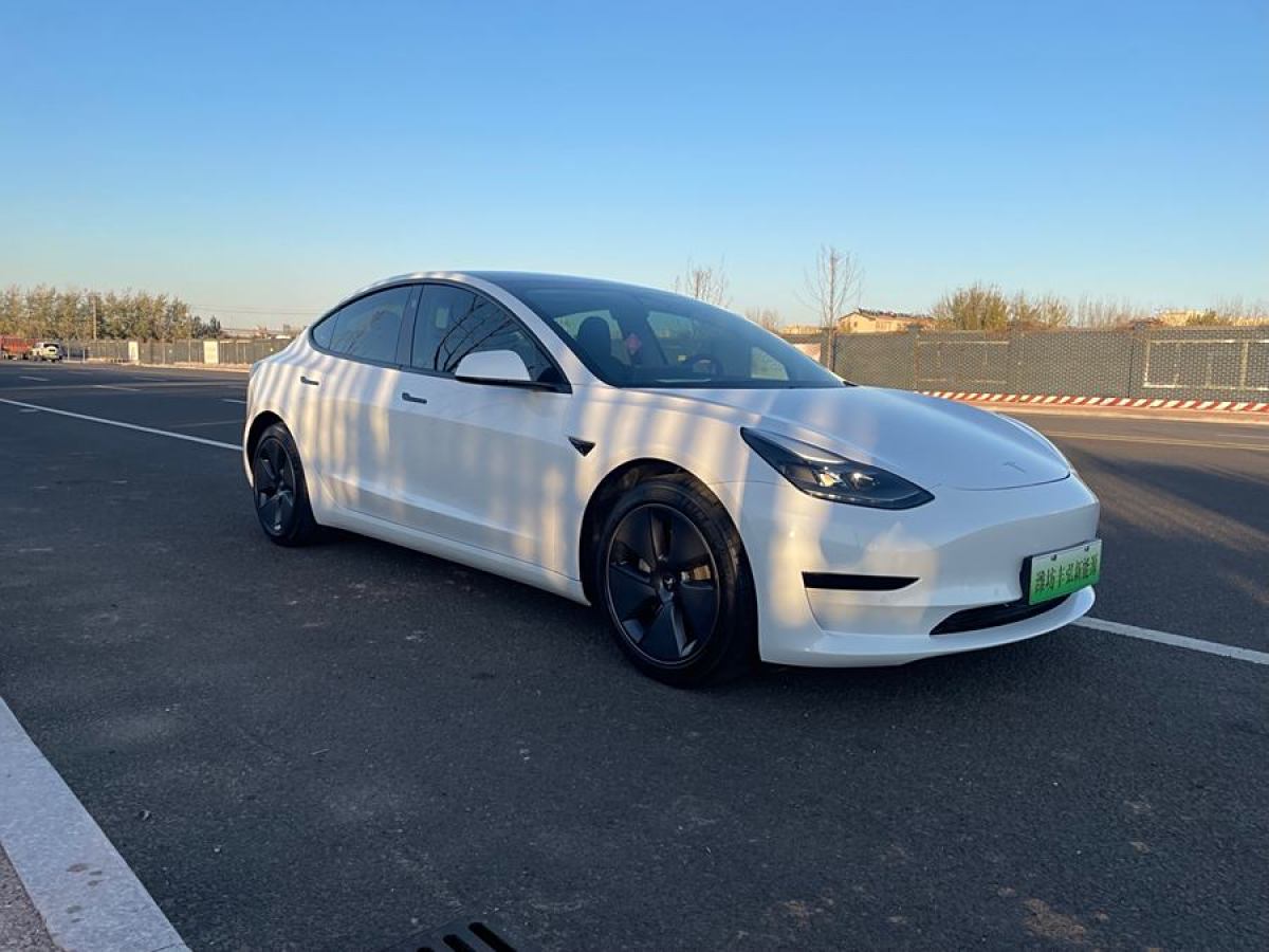 特斯拉 Model 3  2021款 改款 標(biāo)準(zhǔn)續(xù)航后驅(qū)升級(jí)版圖片