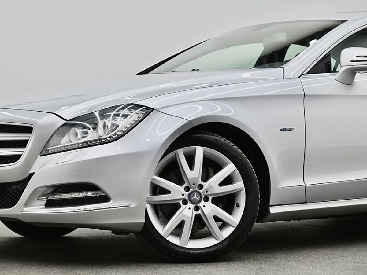 奔馳 奔馳CLS級(jí)  2012款 CLS 300 CGI圖片