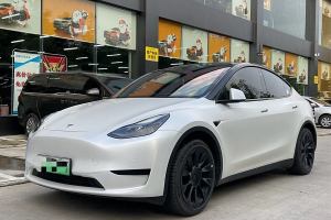 Model Y 特斯拉 后轮驱动版