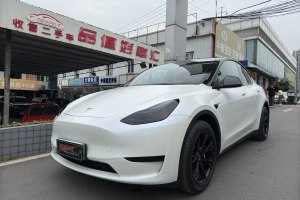 Model Y 特斯拉 后轮驱动版