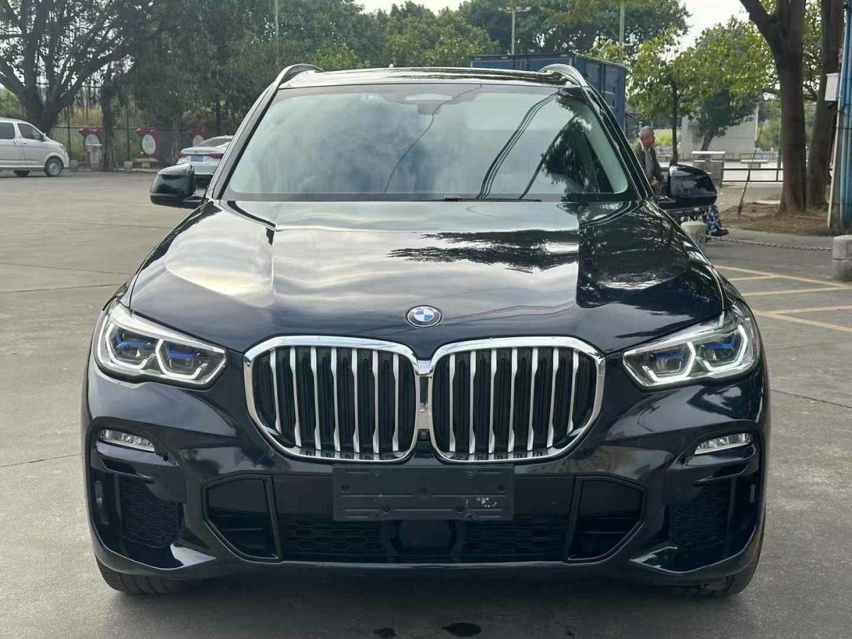 寶馬 寶馬X5  2021款 xDrive30i X設(shè)計(jì)套裝圖片