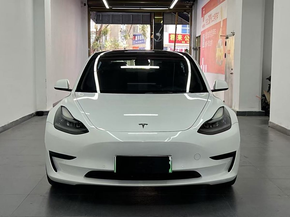 特斯拉 Model 3  2021款 改款 標(biāo)準(zhǔn)續(xù)航后驅(qū)升級(jí)版圖片