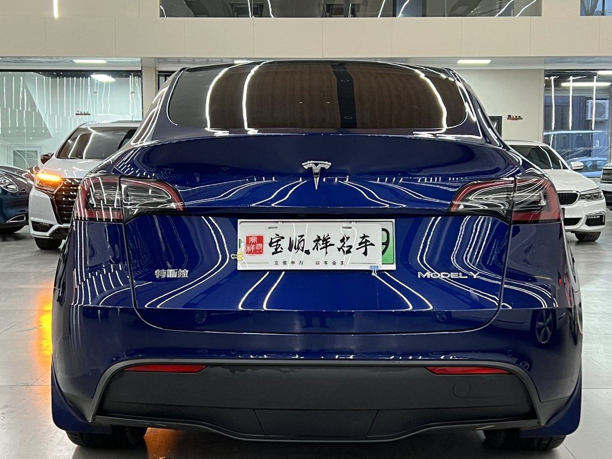 特斯拉 Model 3  2020款 改款 長續(xù)航后輪驅(qū)動版圖片