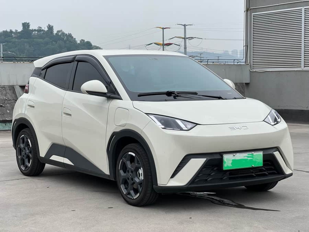 比亞迪 海鷗  2025款 305km 自由版圖片