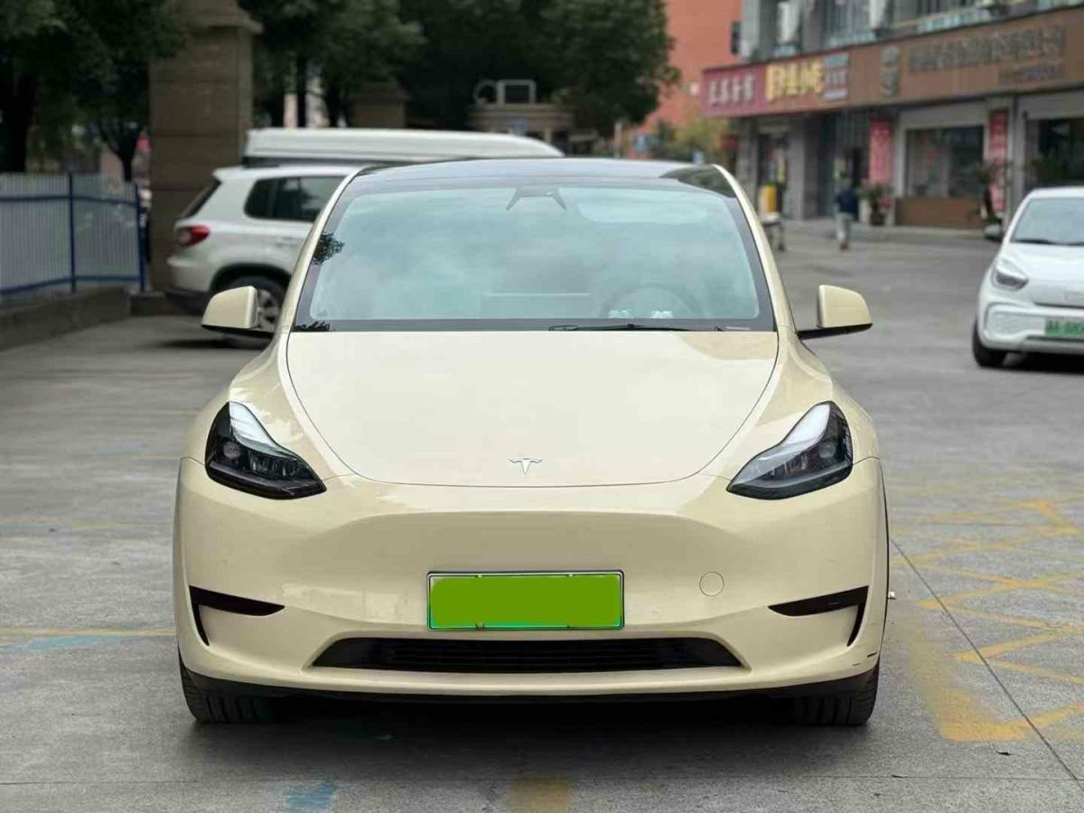 特斯拉 Model Y  2022款 后驅(qū)版圖片