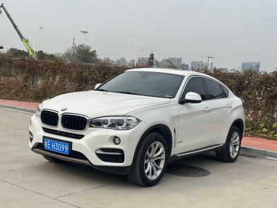 2019年3月 宝马 宝马X6(进口) xDrive35i 领先型图片