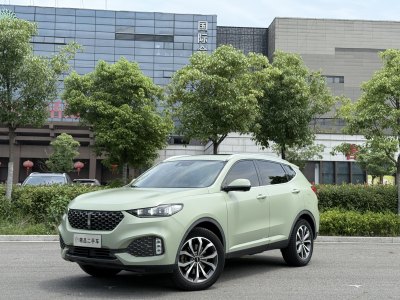 2020年6月 WEY VV6 2.0T 兩驅(qū)智護(hù)+圖片