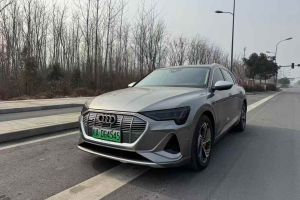 奧迪SQ5 奧迪 3.0 TFSI quattro