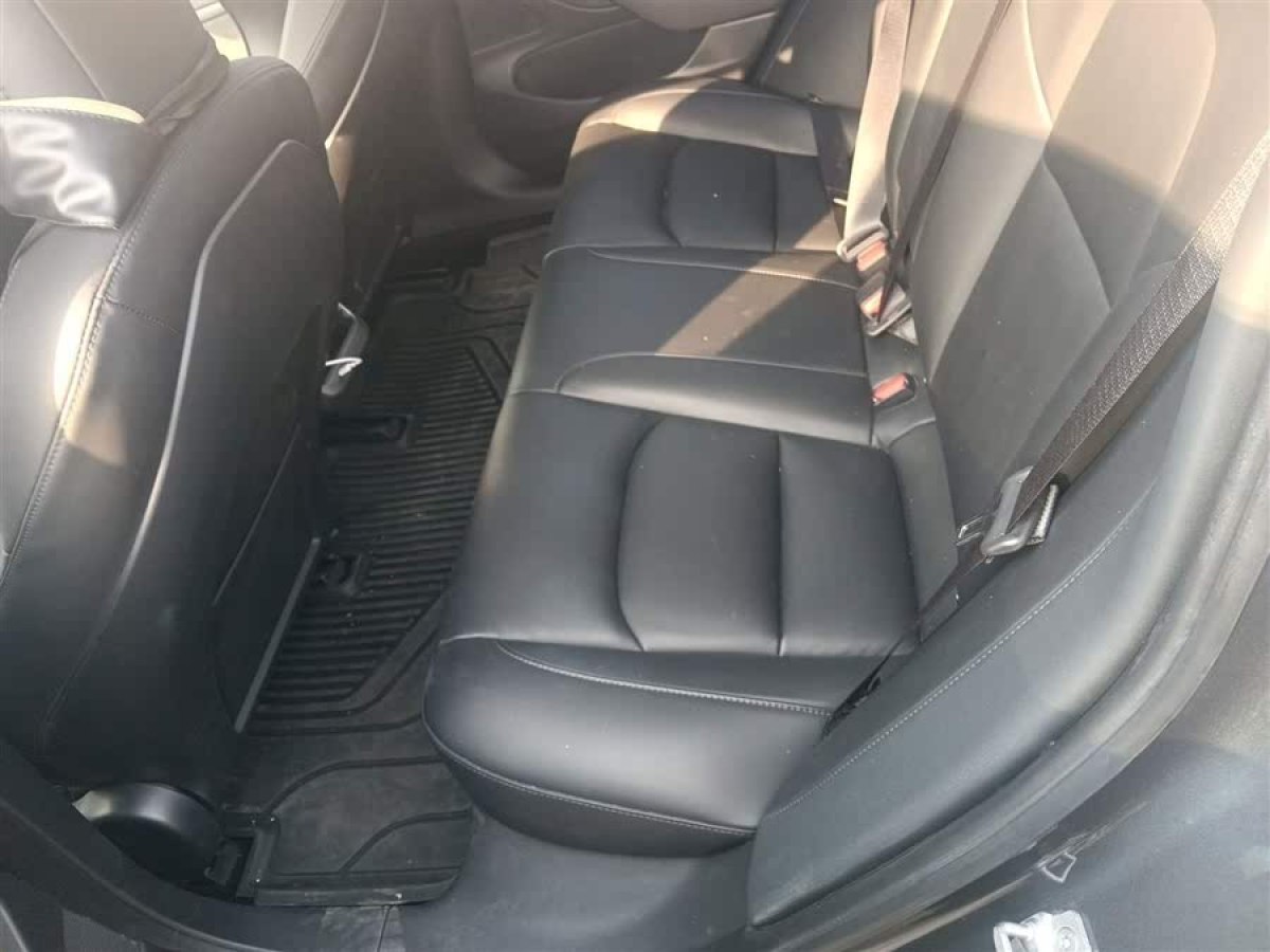 特斯拉 Model 3  2020款 改款 長續(xù)航后輪驅(qū)動版圖片