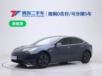 2020年4月 特斯拉 Model 3 標(biāo)準(zhǔn)續(xù)航后驅(qū)升級(jí)版圖片