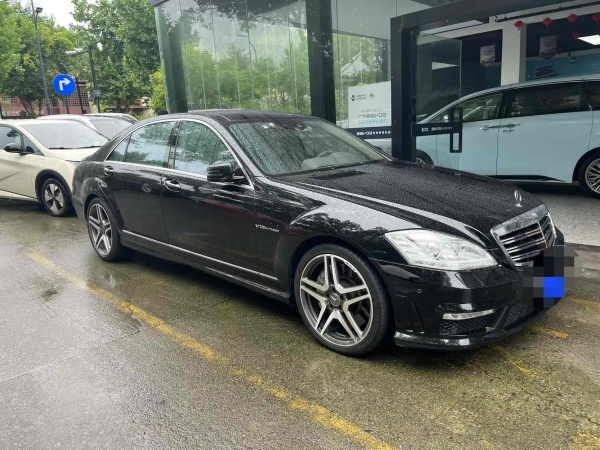 奔驰 奔驰S级AMG  2010款 AMG S 65