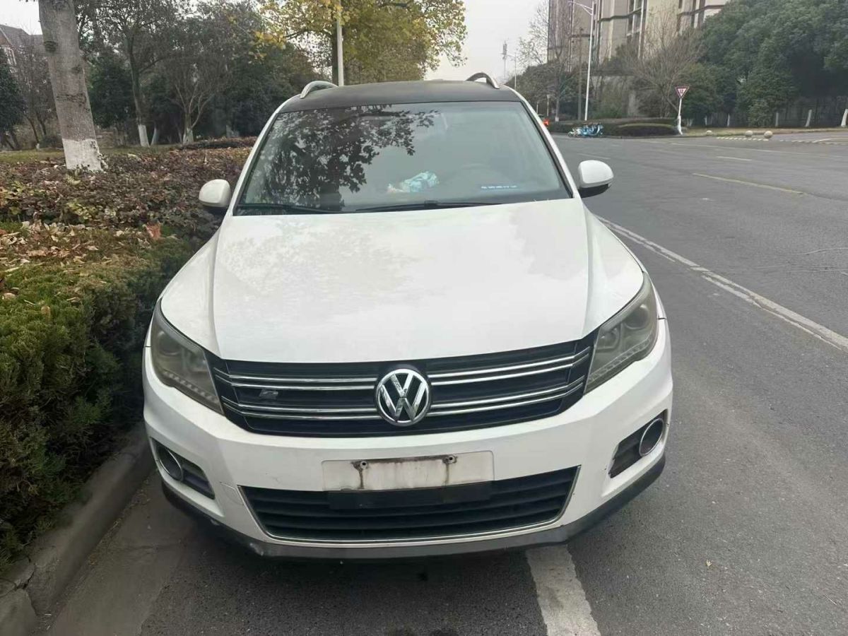 大眾 途歡  2012款 2.0 TDI 舒適版圖片