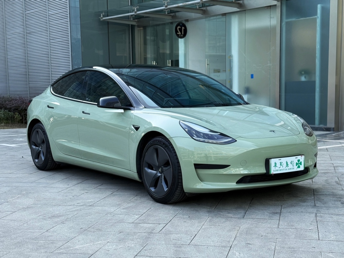 特斯拉 Model 3  2019款 標(biāo)準(zhǔn)續(xù)航后驅(qū)升級(jí)版圖片