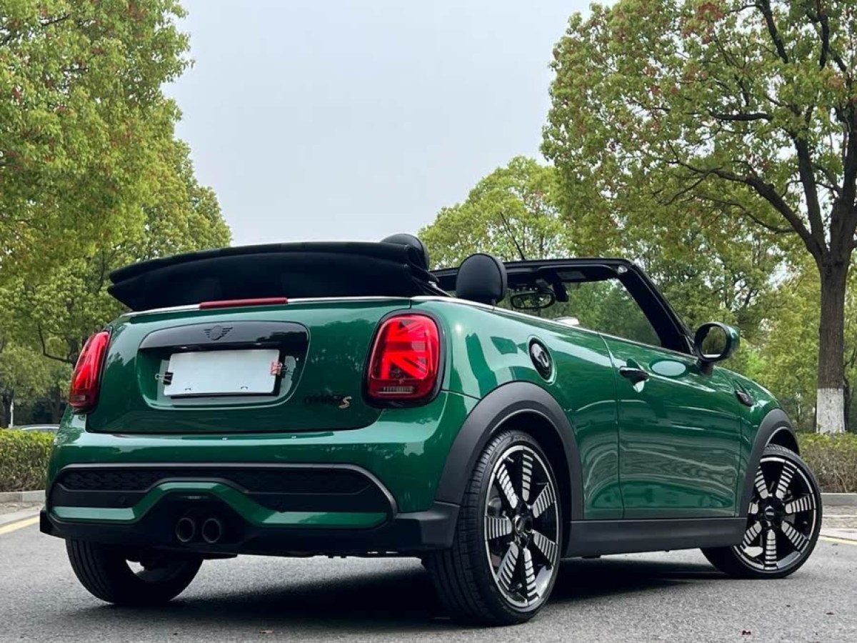 MINI MINI  2023款 改款 2.0T COOPER S CABRIO 藝術(shù)家圖片
