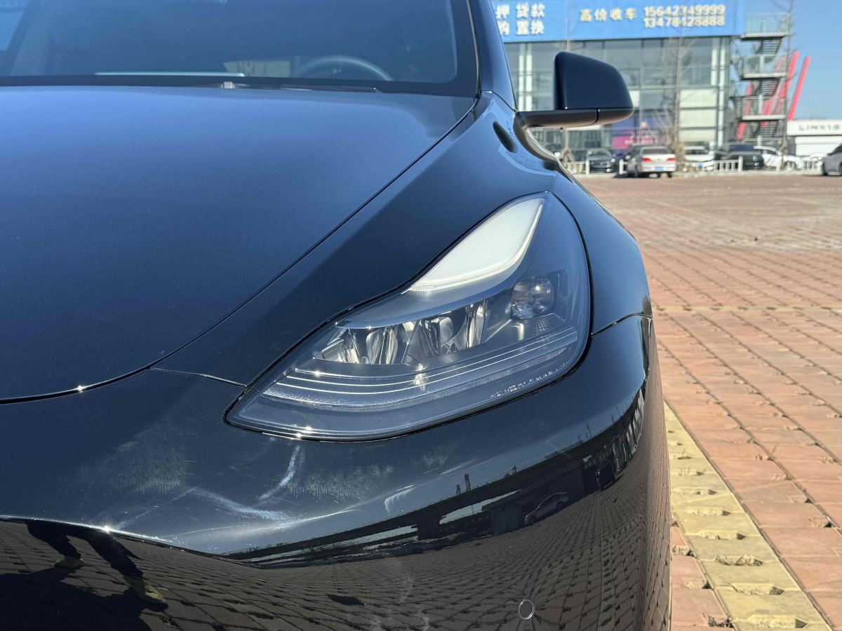 特斯拉 Model 3  2021款 改款 標準續(xù)航后驅(qū)升級版圖片