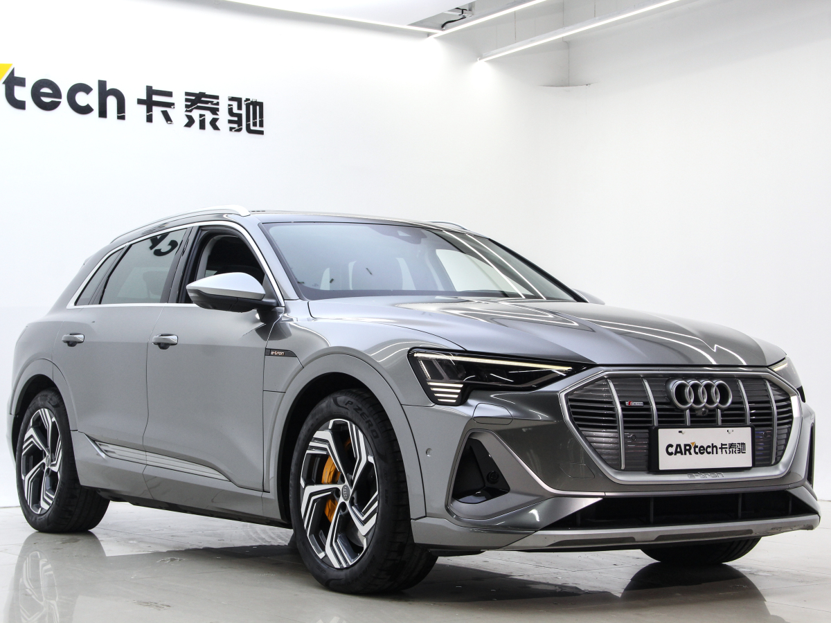 奧迪 奧迪e-tron  2021款 50 quattro 臻選型圖片