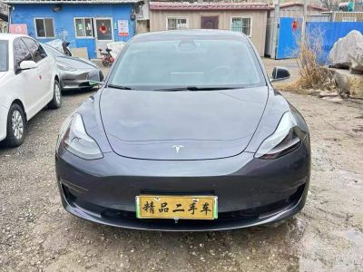 2020年1月 特斯拉 Model 3 Performance高性能全輪驅(qū)動(dòng)版圖片