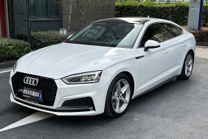 奧迪A5 奧迪 Sportback 40 TFSI 時(shí)尚型