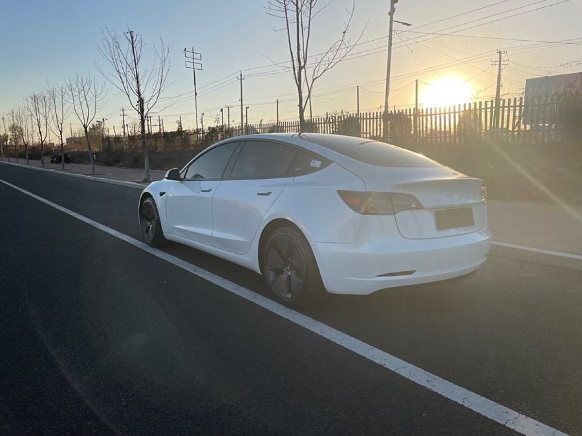 特斯拉 Model 3  2021款 改款 標(biāo)準(zhǔn)續(xù)航后驅(qū)升級(jí)版圖片