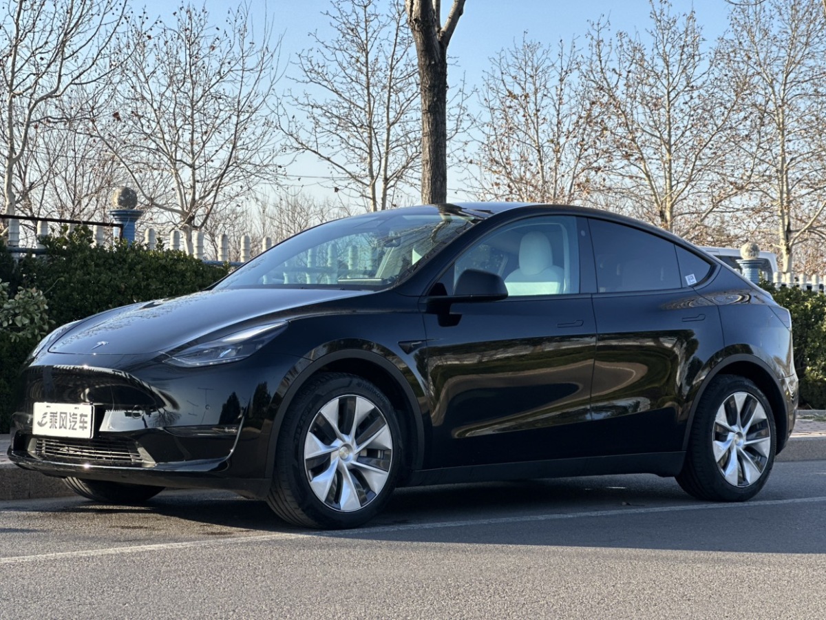 特斯拉 Model Y  2021款 標(biāo)準(zhǔn)續(xù)航后驅(qū)版圖片