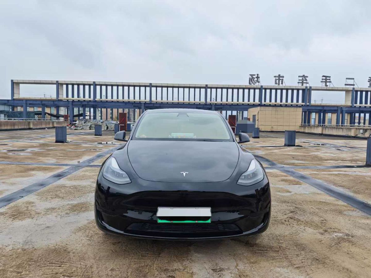 特斯拉 Model Y  2022款 Performance高性能全輪驅(qū)動版圖片