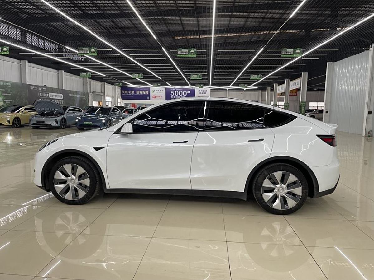 特斯拉 Model 3  2020款 改款 長續(xù)航后輪驅(qū)動(dòng)版圖片