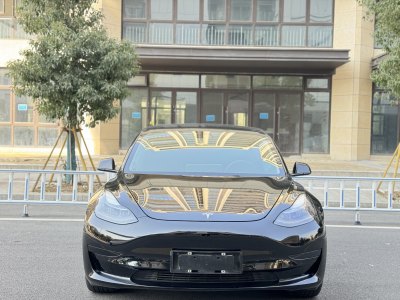 2021年3月 特斯拉 Model 3 標(biāo)準(zhǔn)續(xù)航后驅(qū)升級版 3D6圖片