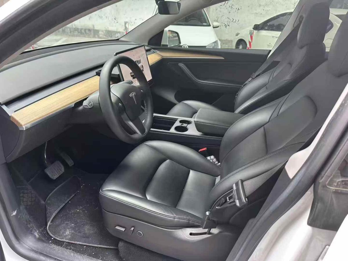 特斯拉 Model Y  2022款 Performance高性能全輪驅(qū)動(dòng)版圖片