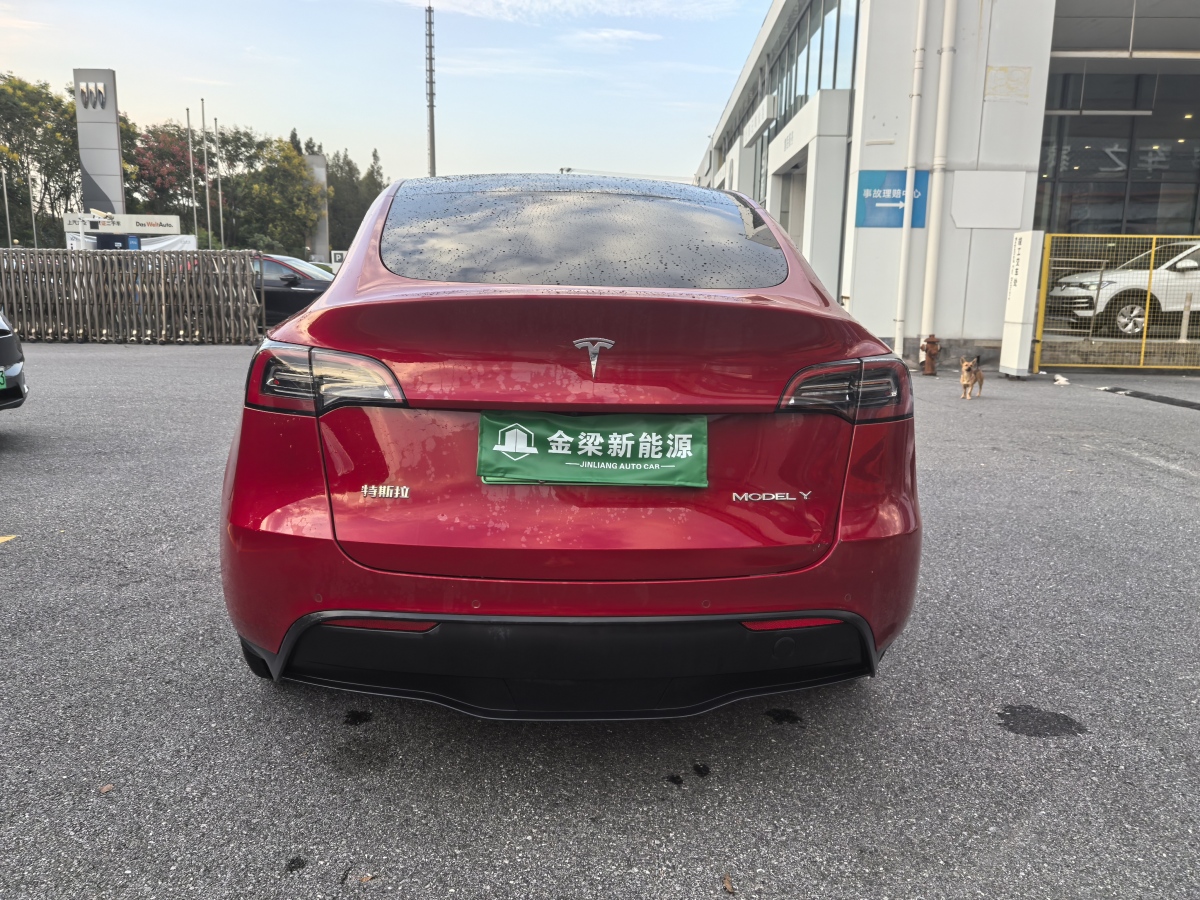 特斯拉 Model Y  2021款 改款 標準續(xù)航后驅升級版圖片