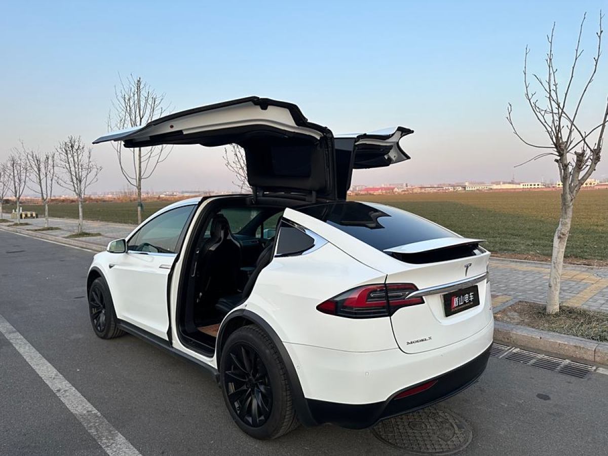 特斯拉 Model X  2016款 Model X 60D圖片