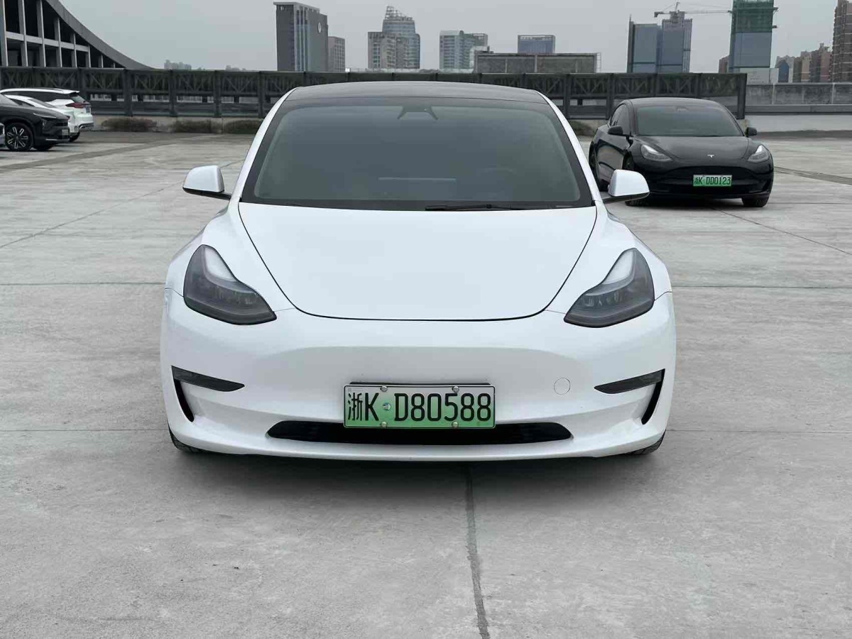 特斯拉 Model 3  2021款 改款 Performance高性能全輪驅動版圖片