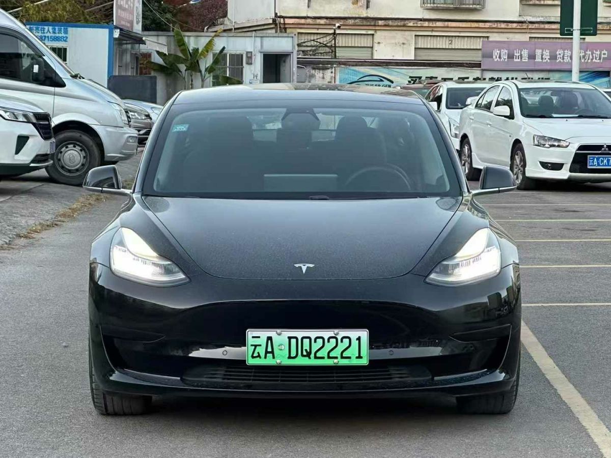 特斯拉 Model Y  2021款 標(biāo)準(zhǔn)續(xù)航后驅(qū)版圖片