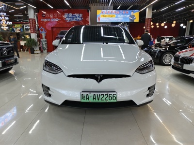 2020年4月 特斯拉 Model X 长续航版图片