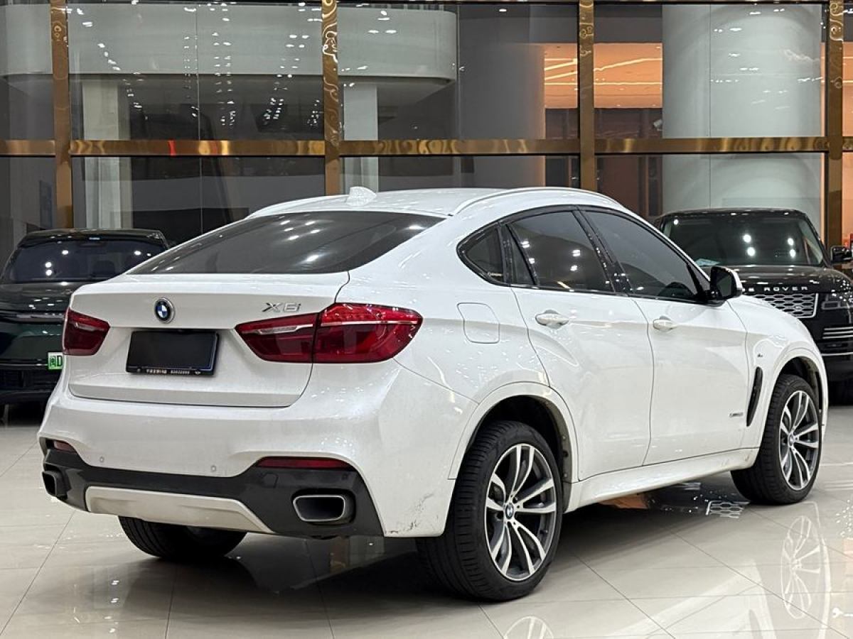 寶馬 寶馬X6  2017款 xDrive35i 領(lǐng)先型圖片