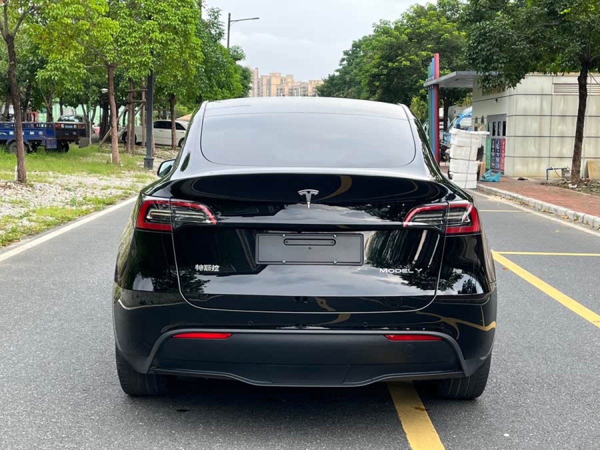 特斯拉 Model Y  2021款 標(biāo)準(zhǔn)續(xù)航后驅(qū)版圖片