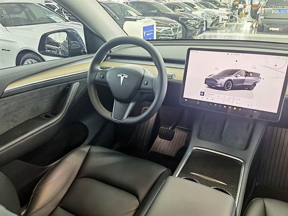 特斯拉 Model Y  2022款 后輪驅(qū)動版圖片