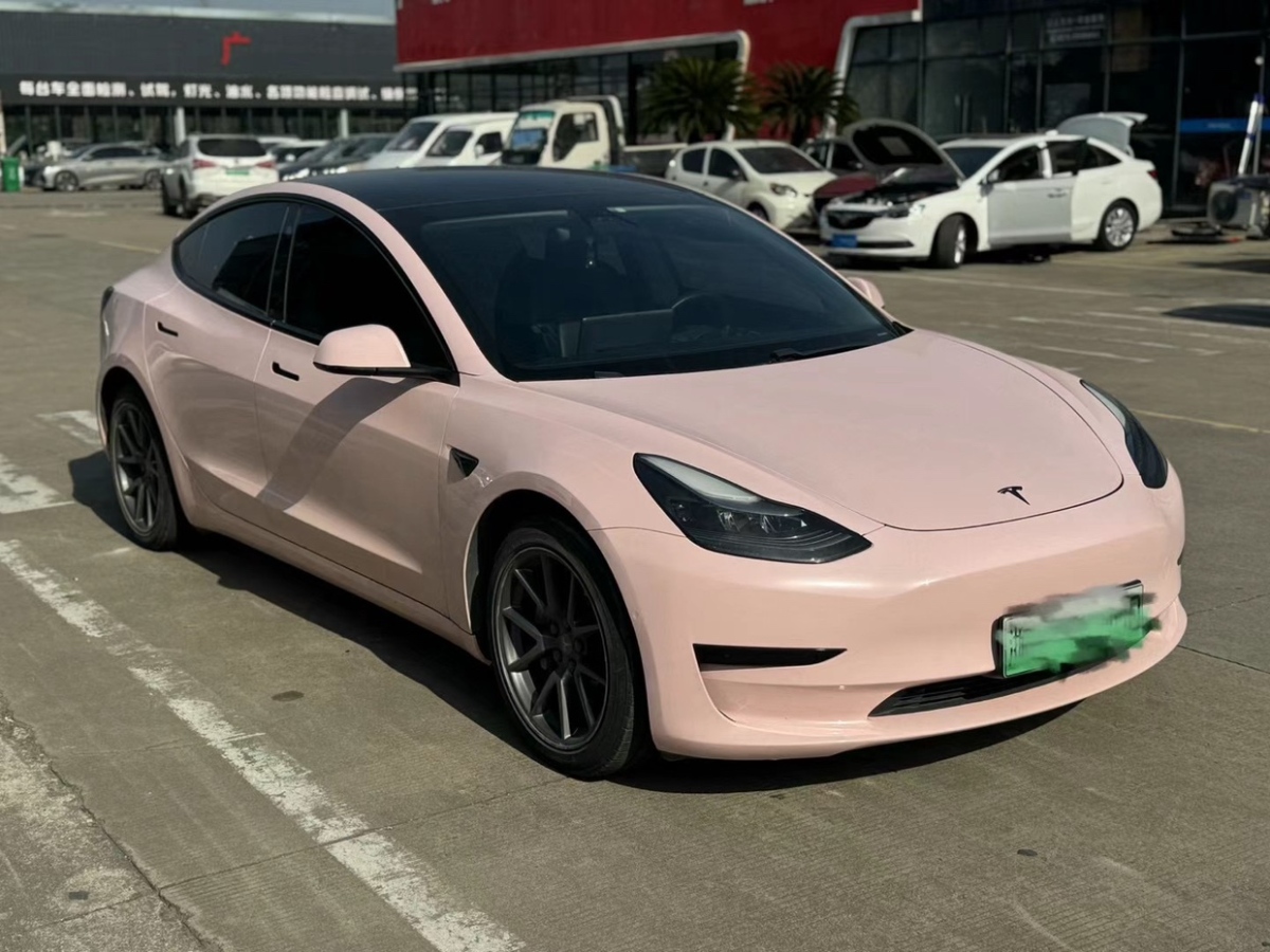 特斯拉 Model 3  2021款 標準續(xù)航后驅(qū)升級版圖片