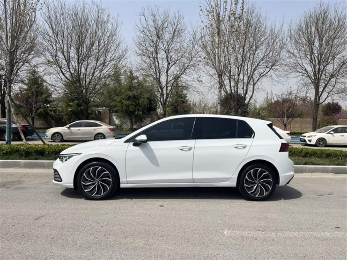 大眾 高爾夫  2021款 280TSI DSG Pro圖片