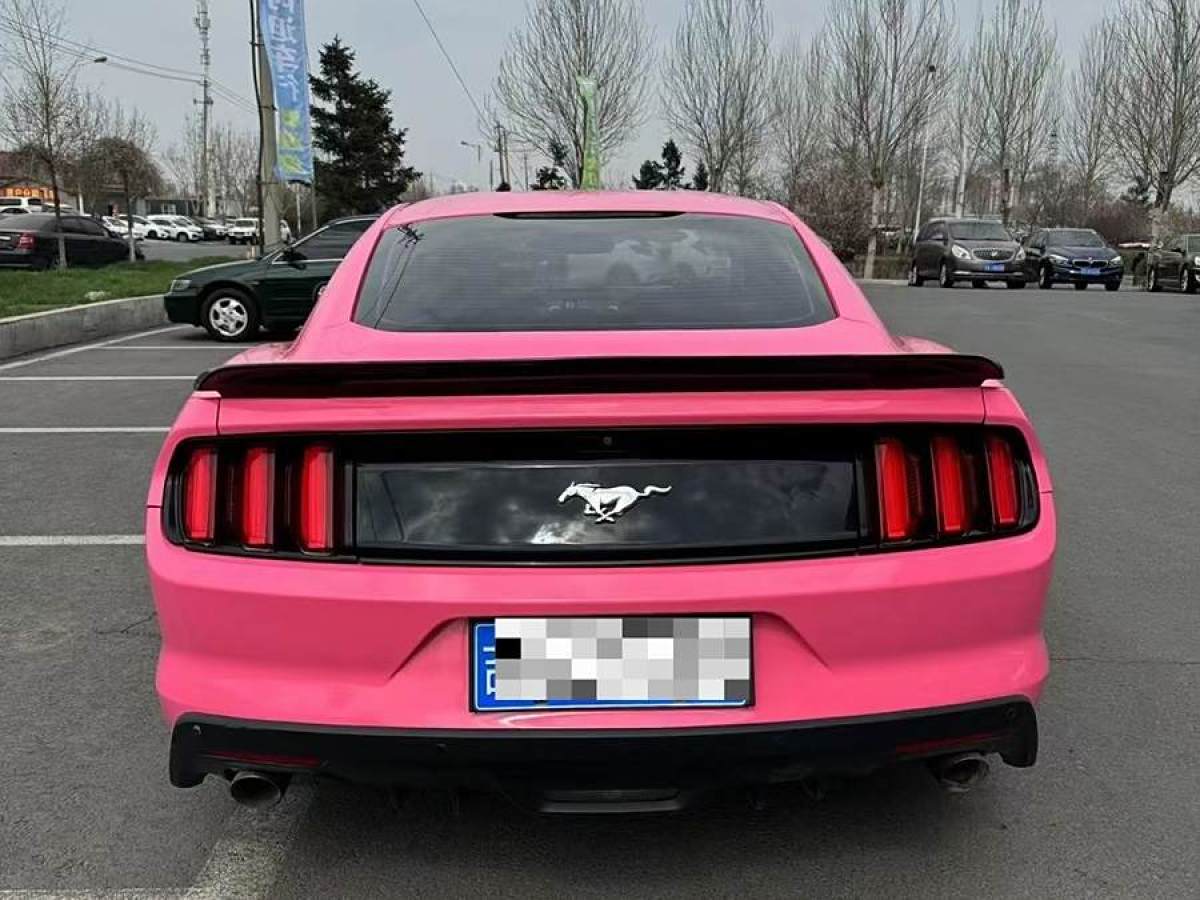 福特 Mustang  2016款 2.3T 性能版圖片