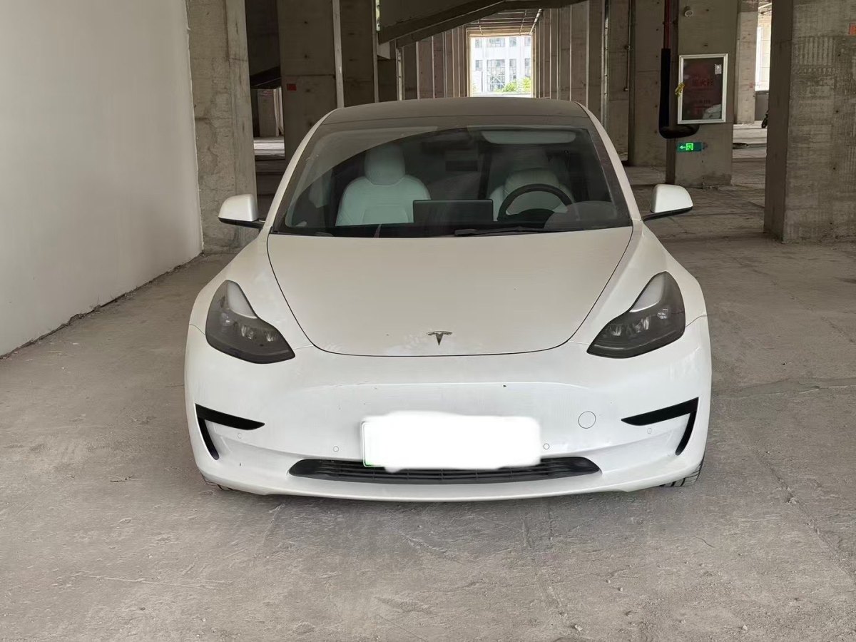 特斯拉 Model Y  2021款 標(biāo)準(zhǔn)續(xù)航后驅(qū)升級版 3D6圖片