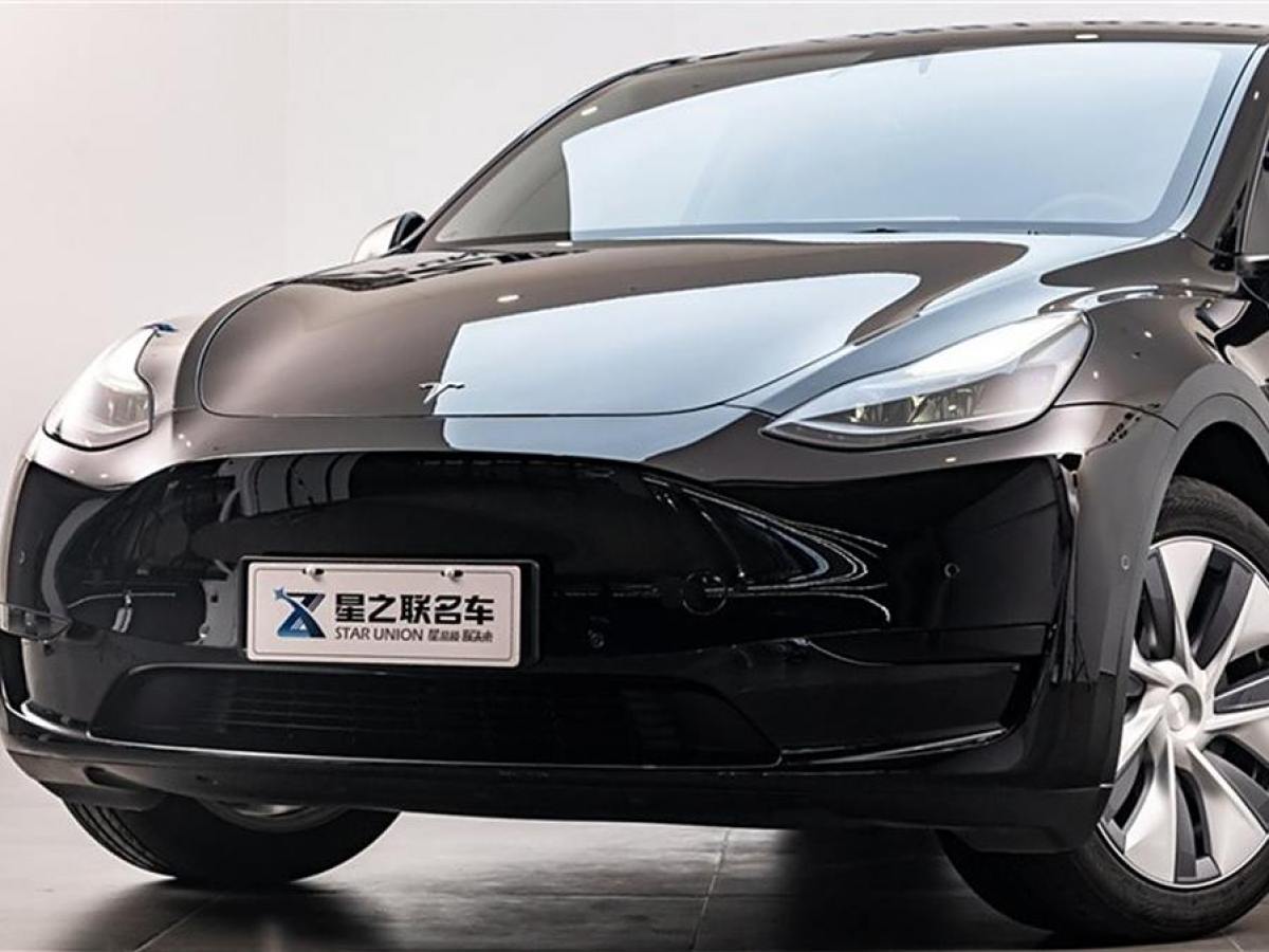 特斯拉 Model 3  2020款 改款 長續(xù)航后輪驅(qū)動版圖片