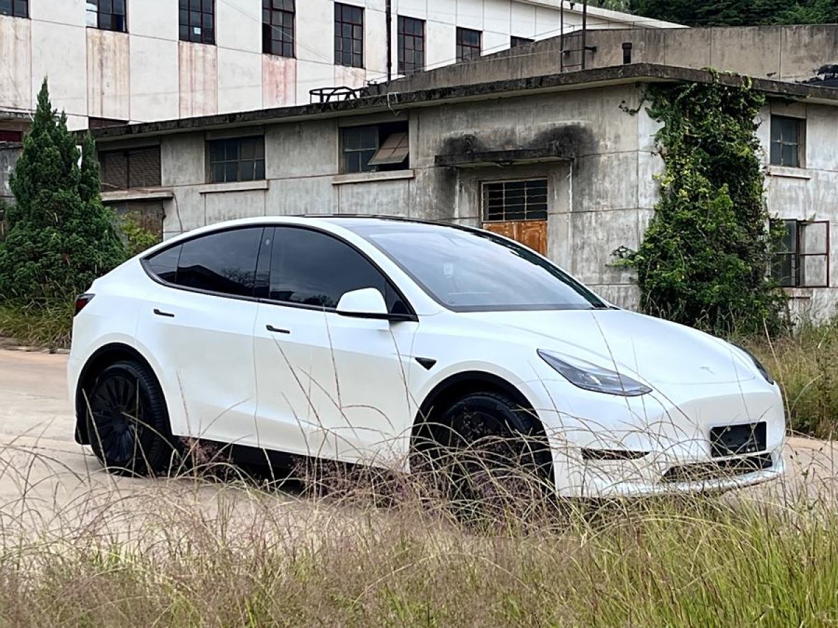 特斯拉 Model Y  2020款 改款 長(zhǎng)續(xù)航后輪驅(qū)動(dòng)版圖片