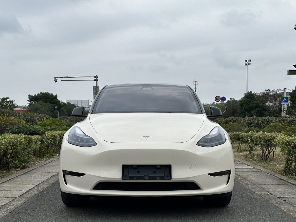 特斯拉 Model 3  2021款 改款 Performance高性能全輪驅(qū)動版圖片