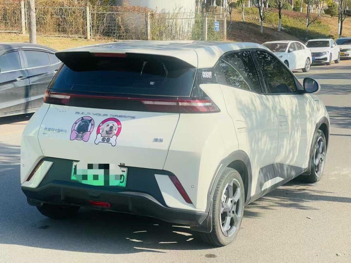 比亞迪 宋L DM-i  2024款 112km 超越型圖片