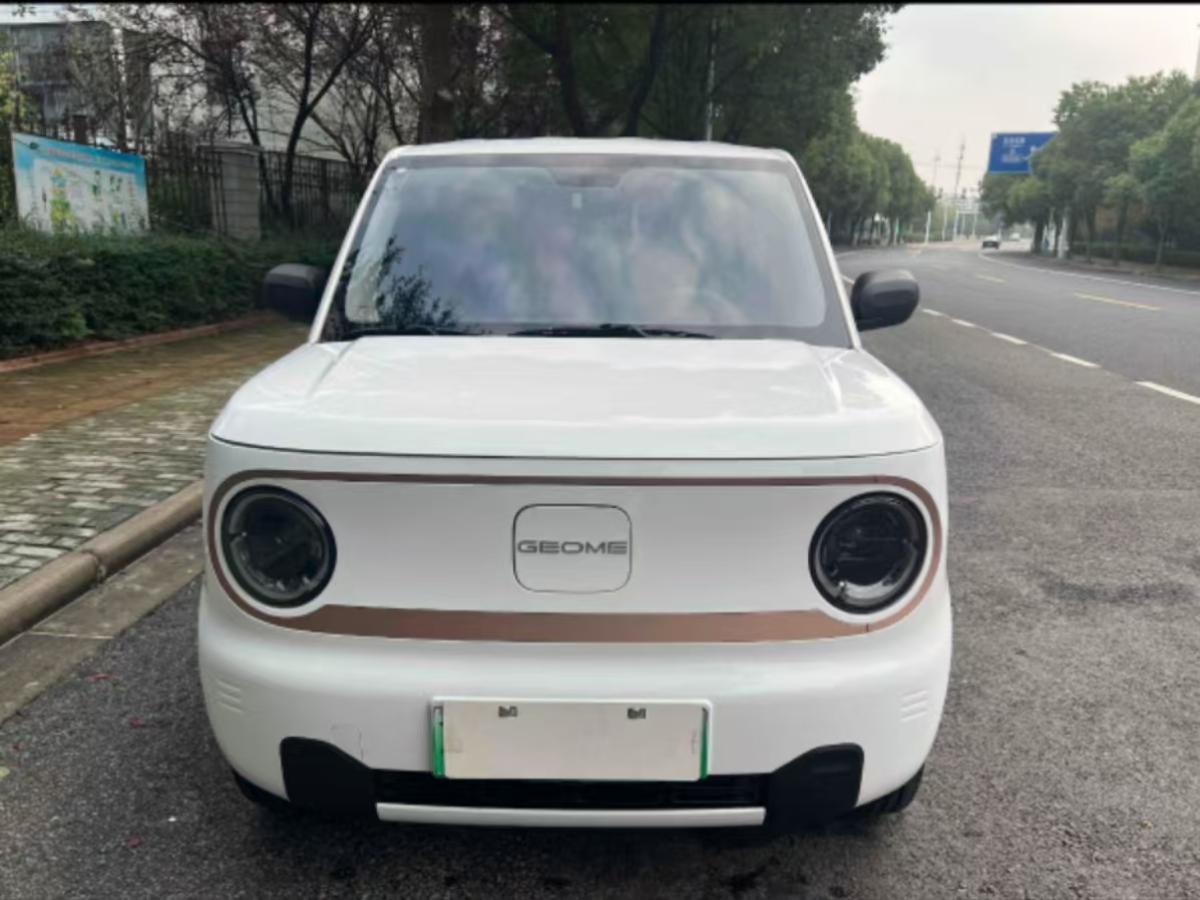 吉利 熊貓mini  2023款 200km 耐力熊圖片