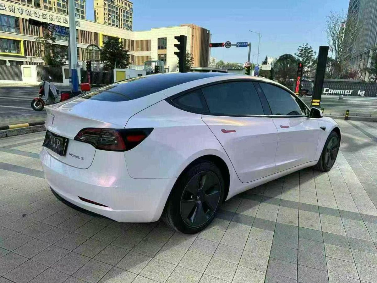 特斯拉 Model S  2023款 三電機(jī)全輪驅(qū)動(dòng) Plaid版圖片