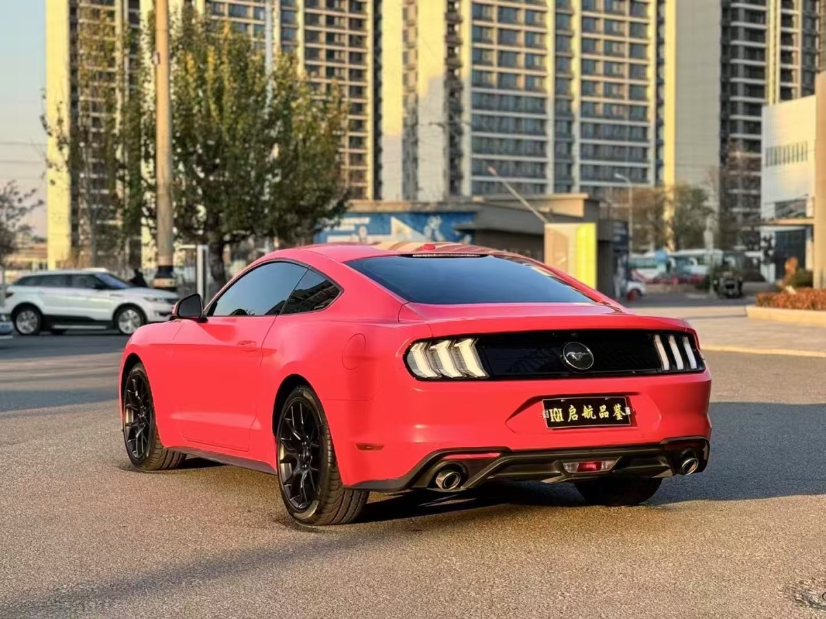 福特 Mustang  2020款 2.3L EcoBoost圖片