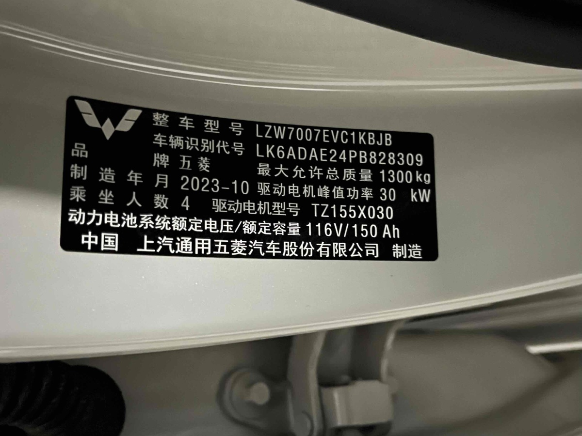 五菱 五菱繽果  2023款 203km 舒享款圖片