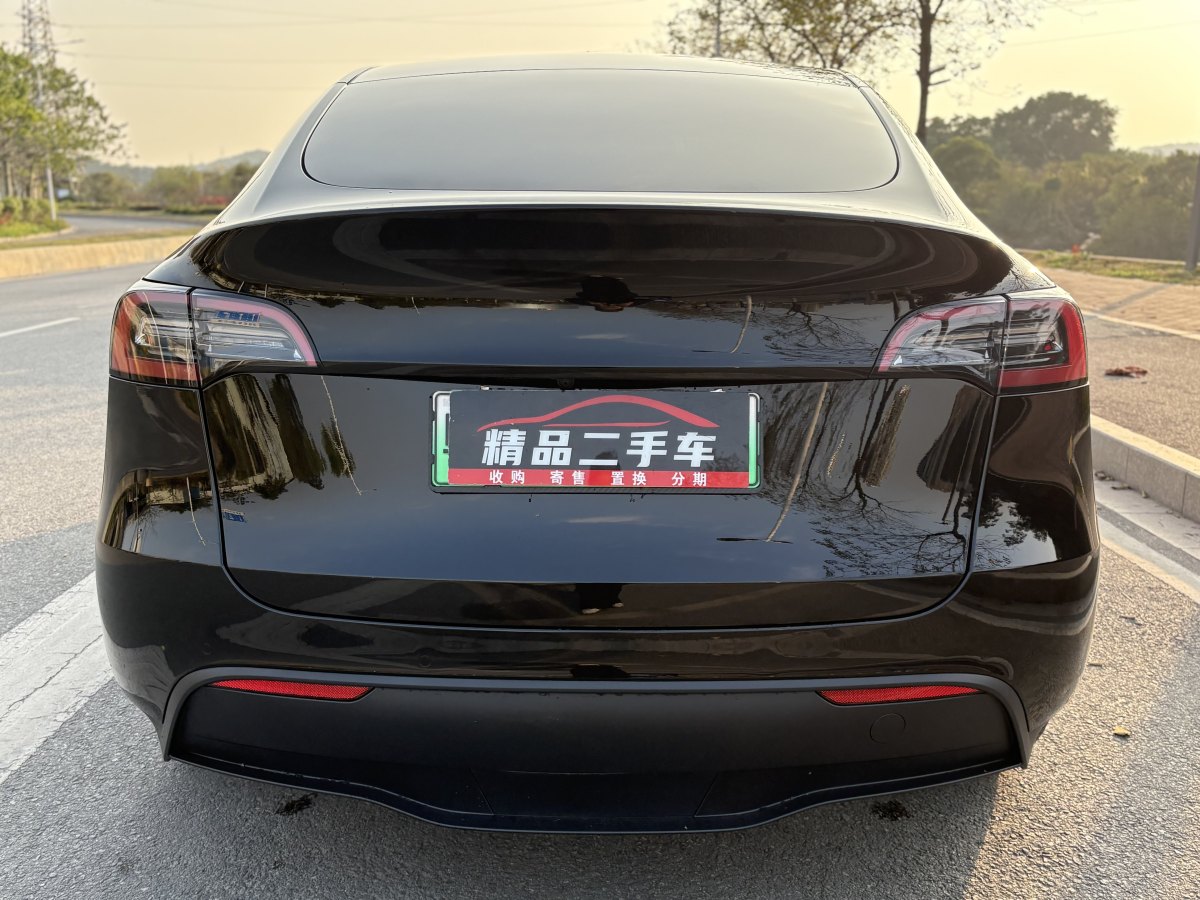 特斯拉 Model 3  2020款 改款 長續(xù)航后輪驅動版圖片